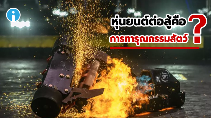 AI ลบวิดีโอกีฬาหุ่นยนต์ต่อสู้บน YouTube เพราะคิดเป็น 'การทารุณกรรมสัตว์'