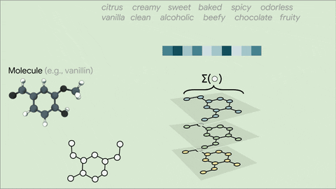 นักวิจัยของบริษัท Google สอนให้ AI เรียนรู้การจำแนกกลิ่นจากโมเลกุลของกลิ่นต่างๆ
