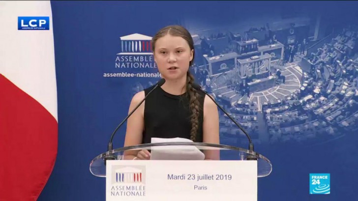 นักวิทยาศาสตร์ได้ตั้งชื่อแมลงปีกแข็งที่ตั้งชื่อตามชื่อของ Greta Thunberg