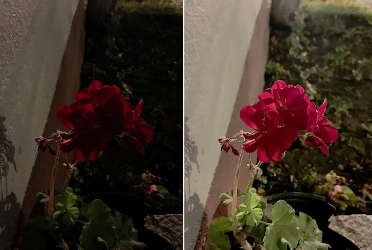 NeuralCam แอปฯ กล้อง AI ที่ช่วยให้ iPhone รุ่นเก่าถ่ายรูป Night Mode แบบ iPhone 11 ได้