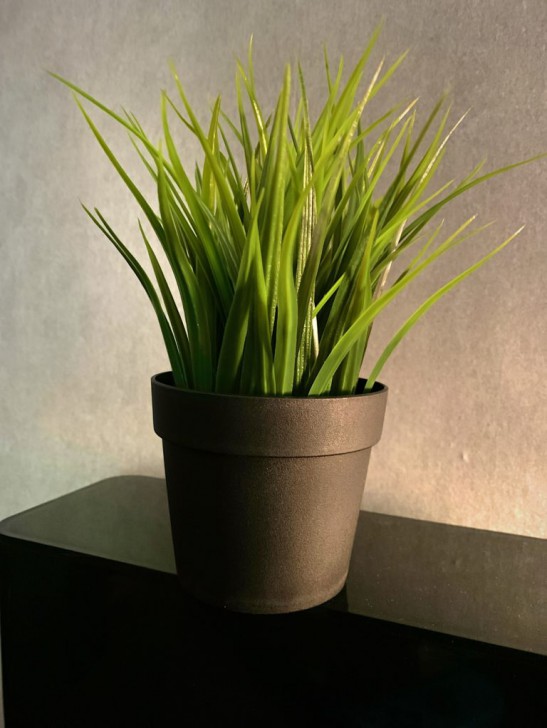 NeuralCam แอปฯ กล้อง AI ที่ช่วยให้ iPhone รุ่นเก่าถ่ายรูป Night Mode แบบ iPhone 11 ได้