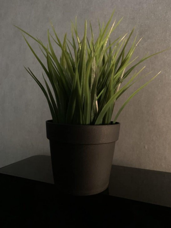 NeuralCam แอปฯ กล้อง AI ที่ช่วยให้ iPhone รุ่นเก่าถ่ายรูป Night Mode แบบ iPhone 11 ได้