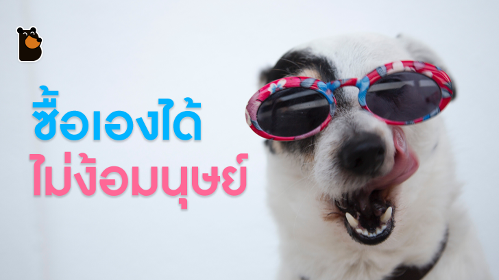 สุนัข (บางตัว) สามารถซื้อขนมและอาหารได้เองโดยไม่ต้องง้อมนุษย์!