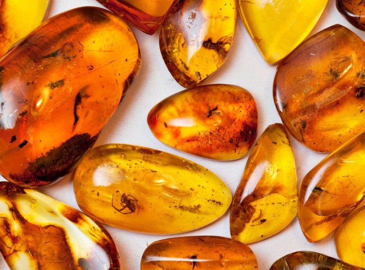 นักโบราณคดีค้นพบอำพัน (เยลลี) รูปหมีอายุกว่า 3,500ปี!