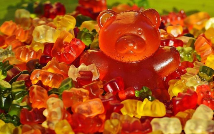 นักโบราณคดีค้นพบอำพัน (เยลลี) รูปหมีอายุกว่า 3,500ปี!