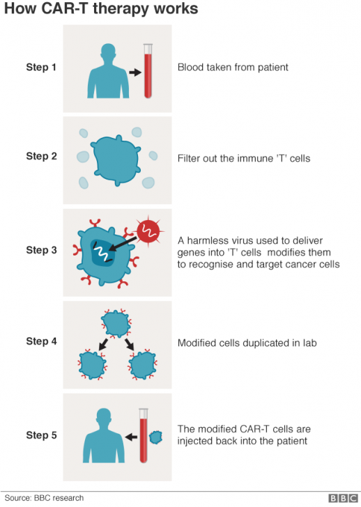 นักวิทยาศาสตร์ค้นพบ T-Cell ตัวใหม่ในระบบภูมิคุ้มกันที่คาดว่าจะสามารถฆ่าเซลล์มะเร็งได้