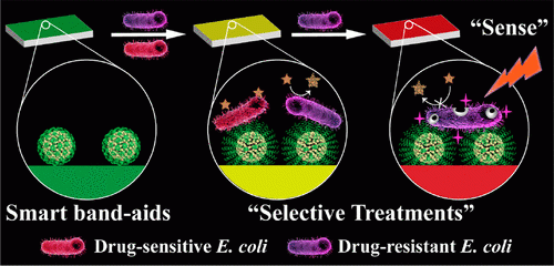 นักวิทยาศาสตร์ประดิษฐ์ Smart Band-aids ผ้าปิดแผลเปลี่ยนสีได้เมื่อแผลติดเชื้อ นักวิทยาศาสตร์ประดิษฐ์ Smart Band-aids ผ้าปิดแผลเปลี่ยนสีได้เมื่อแผลติดเชื้อ