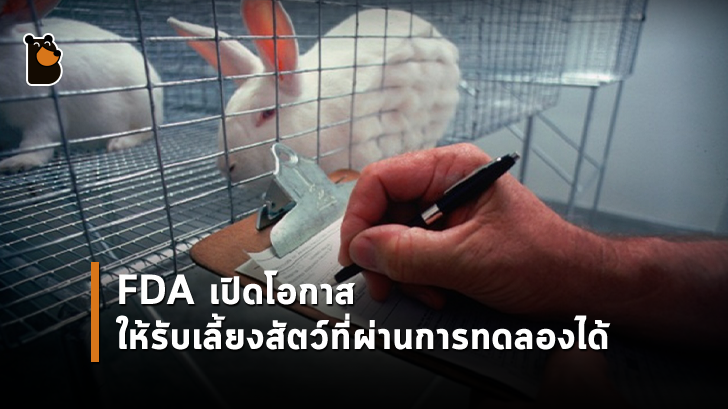 FDA เปิดโอกาสให้ผู้ที่สนใจสามารถรับเลี้ยงสัตว์ที่ผ่านการทดลองได้