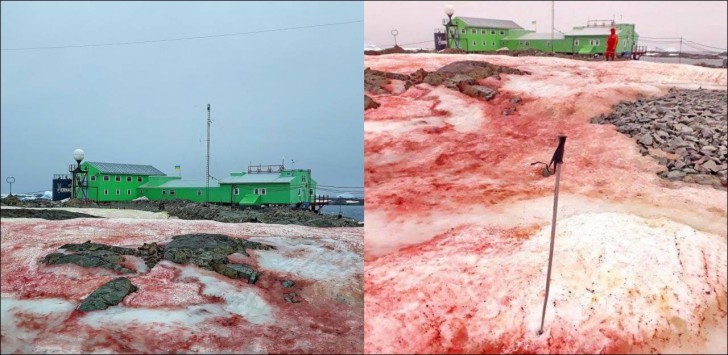 นักวิจัยค้นพบเกาะแห่งใหม่ในทวีป Antarctic จากการละลายของธารน้ำแข็ง