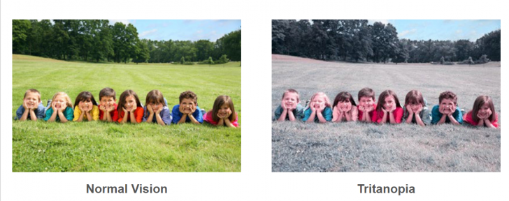 Chrome 82 จะมาพร้อมฟีเจอร์ เลียนแบบการมองเห็นของ ผู้เป็นโรคตาบอดสี  