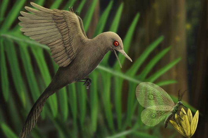 นักวิทยาศาสตร์ค้นพบอำพันฟอซซิลไดโนเสาร์นกขนาดเล็กที่สุดในโลก นักวิทยาศาสตร์ค้นพบอำพันฟอซซิลไดโนเสาร์นกขนาดเล็กที่สุดในโลก