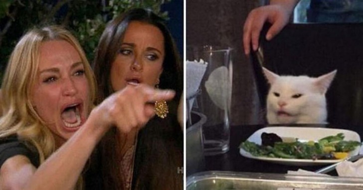 ครีเอทสุด! เมื่อชาวเน็ตปลื้มมีม 'หญิงผมทองตะโกนใส่แมว' จนเอาไปทำเป็นมีมในเกม The Sims 4 ต่ออีกทอด