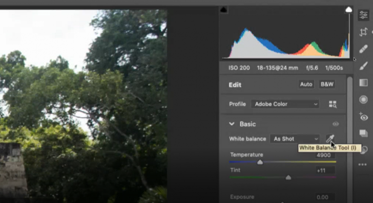 อัปเดตครั้งใหญ่! เมื่อ Adobe CC Updates เพิ่มฟีเจอร์ใหม่ๆ เก่งกว่าเดิม เจ๋งกว่าเดิม 
