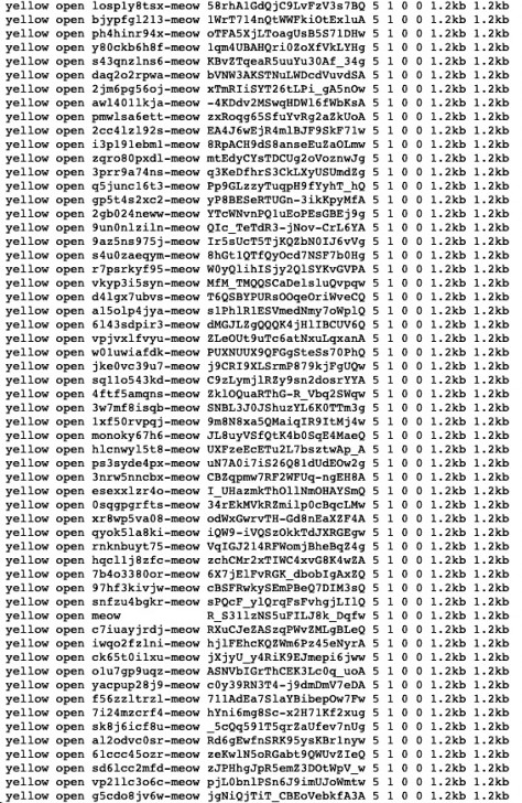 แฮกเกอร์ลึกลับไล่ลบฐานข้อมูลที่มีช่องโหว่กว่า 1,000 แห่ง พร้อมทิ้งข้อความว่า "เหมียว"