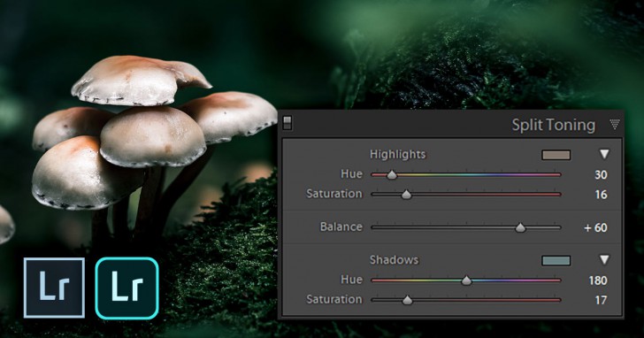 Adobe เตรียมเพิ่ม Color Grading บน Lightroom ช่วยปรับแสงสีในภาพให้ Smooth ยิ่งขึ้น