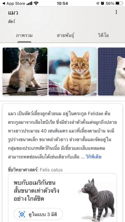 Google Search เพิ่มสัตว์อีก 50 ชนิด ให้ดูภาพและเสียงผ่านกล้องมือถือแบบ 3D AR