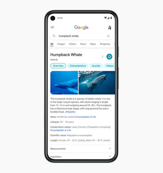 Google ประกาศปรับดีไซน์แอปพลิเคชัน Google Search ทั้งในระบบ Android และ iOS