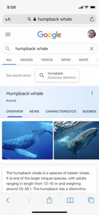 Google ประกาศปรับดีไซน์แอปพลิเคชัน Google Search ทั้งในระบบ Android และ iOS
