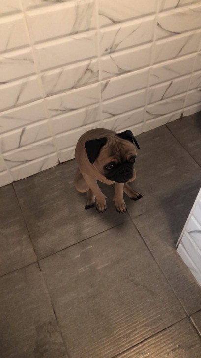 Google 3D Animal อัปเดตเพิ่มสัตว์เสมือนจริงอีกหลายชนิด ! ดูผ่านกล้องมือถือแบบ AR