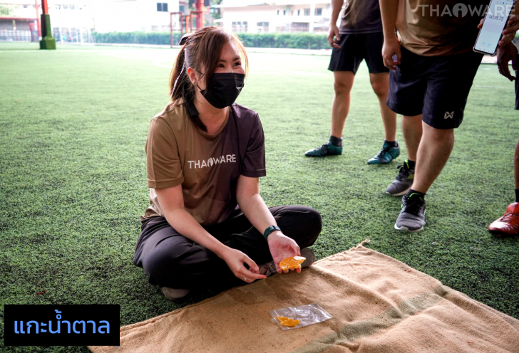 Thaiware จัดกิจกรรมแข่งขันกีฬาสีพนักงาน Sports Day 2022