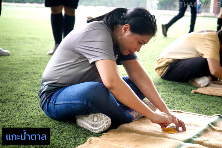 Thaiware จัดกิจกรรมแข่งขันกีฬาสีพนักงาน Sports Day 2022