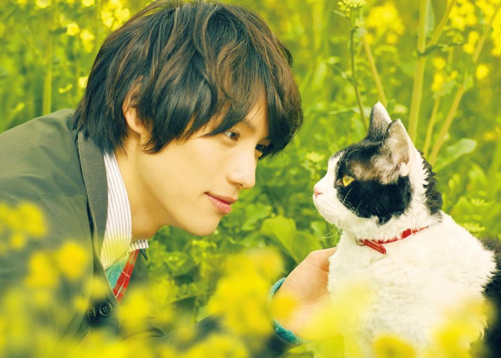 เนื้อหาแนะนำบน Netflix ประจำเดือนพฤษภาคม 2566