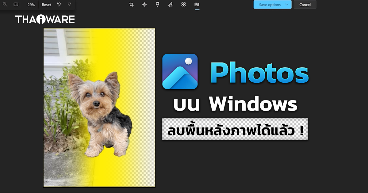 Windows อัปเดตฟีเจอร์ใน Photos ลบพื้นหลังออกจากรูปได้แล้ว พร้อมการแสดงภาพแบบใหม่