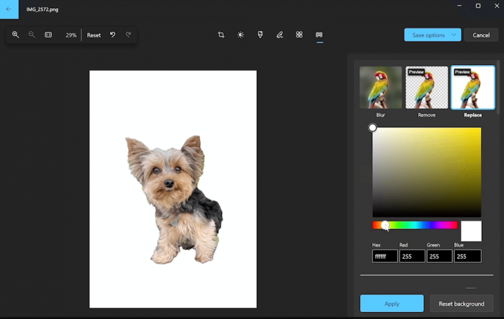 Windows อัปเดตฟีเจอร์ใน Photos ลบพื้นหลังออกจากรูปได้แล้ว พร้อมการแสดงภาพแบบใหม่
