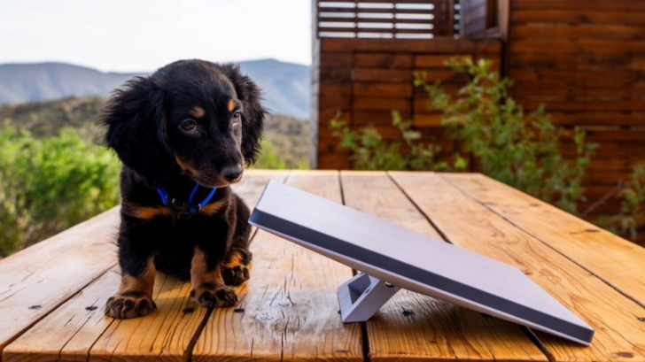 SpaceX เปิดตัว 