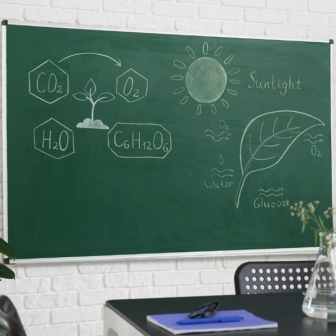 เรียนชีววิทยาออนไลน์ให้เข้าใจ ด้วยติวเตอร์ชีวะจาก Fastwork