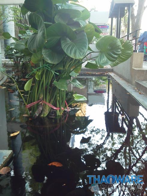 IMG_20120313_142517_resize