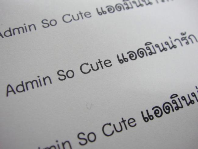 DSC06695_resize DSC06695_resize