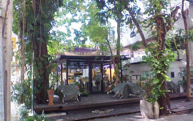 picture014 picture014