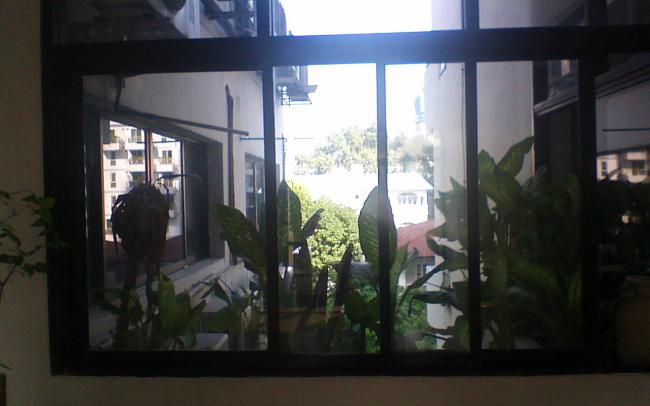 picture017 picture017