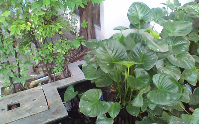 picture013 picture013