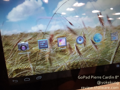 GOPAD PIERRE CARDIN 8-03