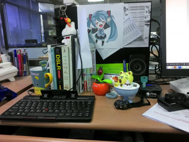 picture010 picture010