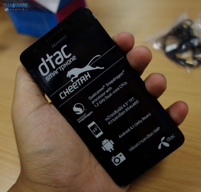 DSC05066_resize DSC05066_resize