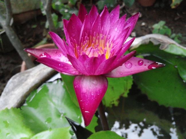 รูปถ่าย Optimus G Pro_04