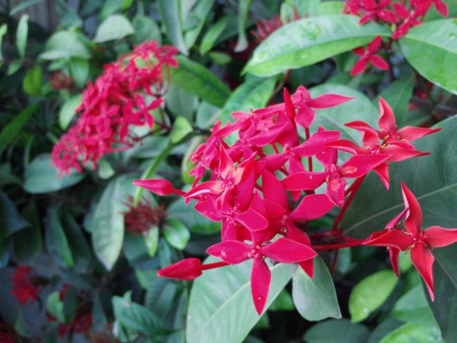 รูปถ่าย Optimus G Pro_05