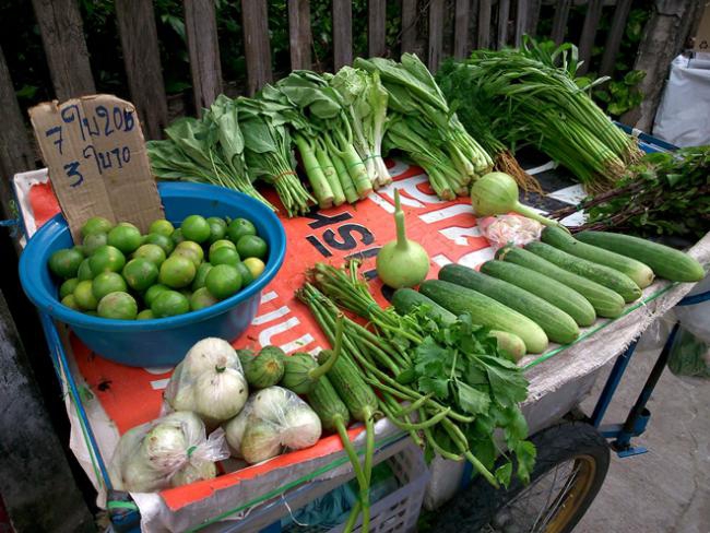 Camera Testing Xperia SP_08