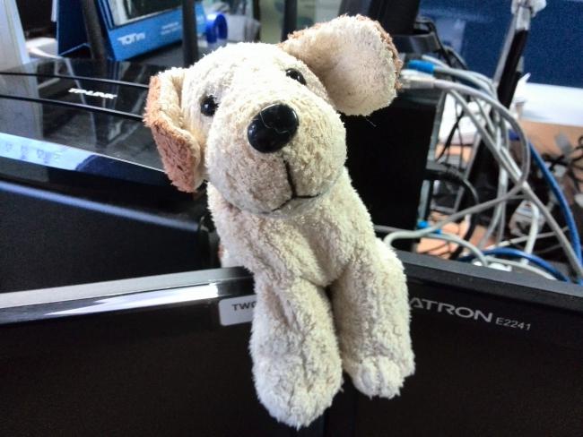 IMG_20130815_092520 IMG_20130815_092520