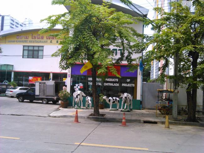 ภาพถ่าย Xperia M_07