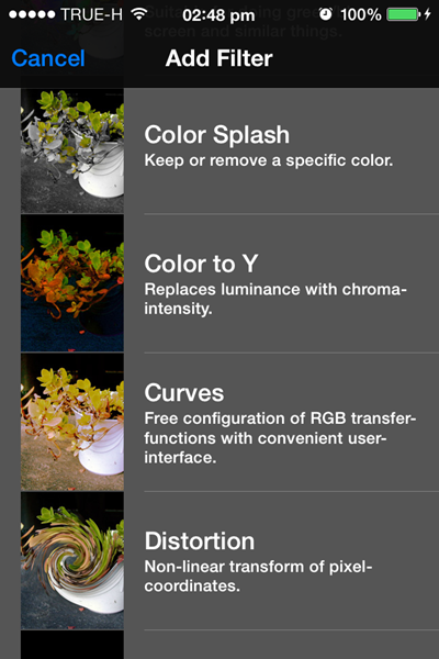 SS aremaC (10) SS aremaC (10)