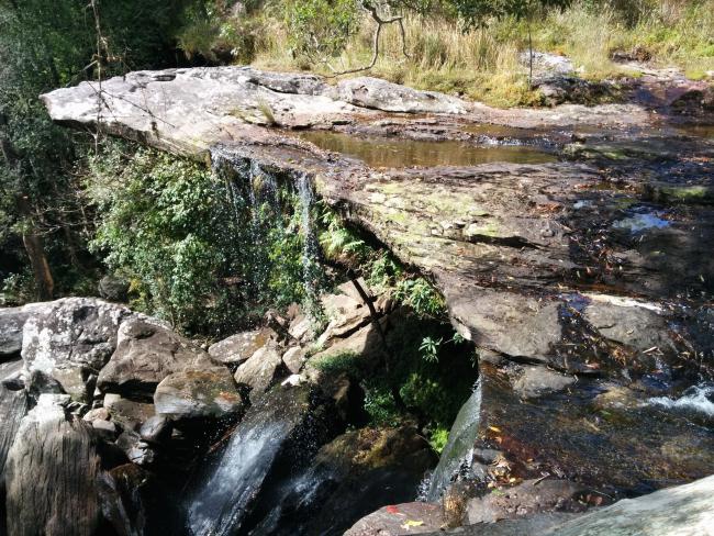 2orginalrz 2orginalrz