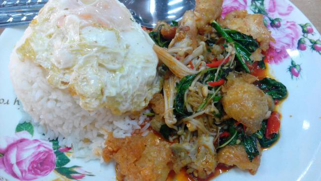 ภาพถ่าย Lion 5_03