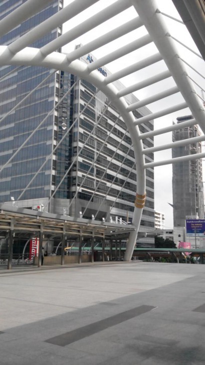 ภาพถ่าย Lion 5_04