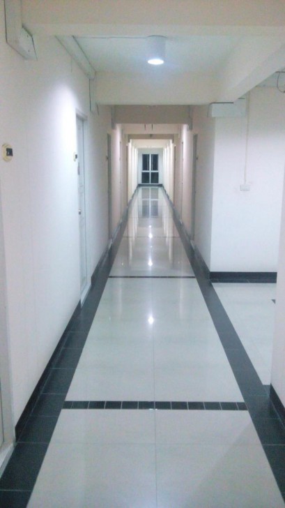 ภาพถ่าย Lion 5_09