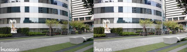 ภาพถ่าย Lion 5_01