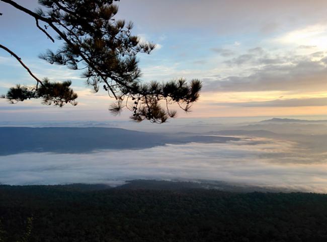 ภาพถ่ายวิว Nexus 5